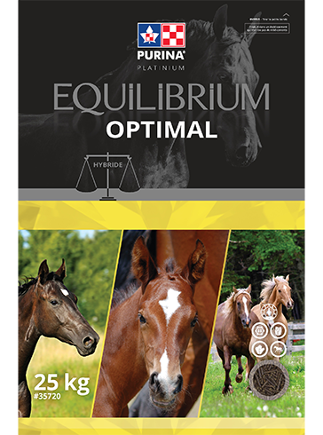 Purina Canada Equilibrium Optimal