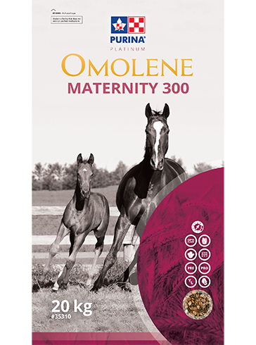 Purina Canada Omolene Maternity 300